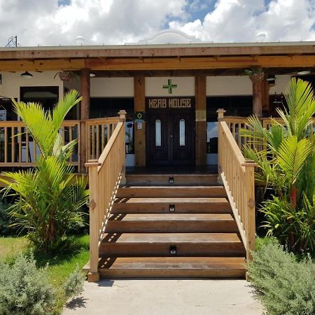 Relax Villa Ocho Rios Ngoại thất bức ảnh